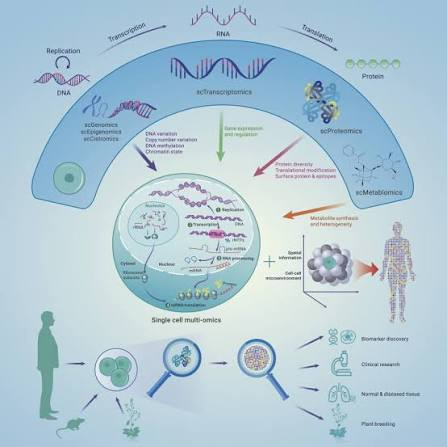 Single-cell technologies: From research to application