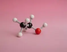 [SK-TCTUBES-494] Collagen-coated PTFE membrane insert, 24-well plate, 0.4 µm