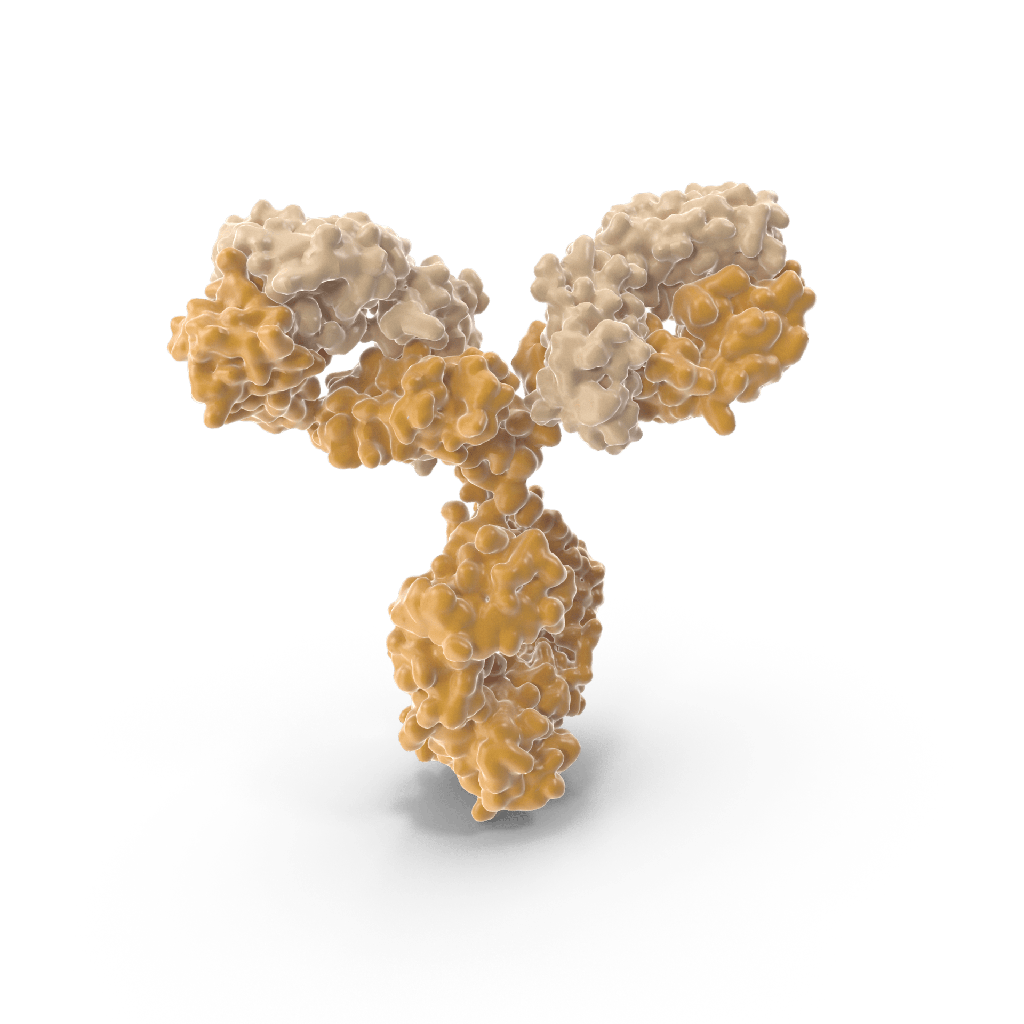 [0678-MAN100] Human LR3 IGF-I monoclonal antibody