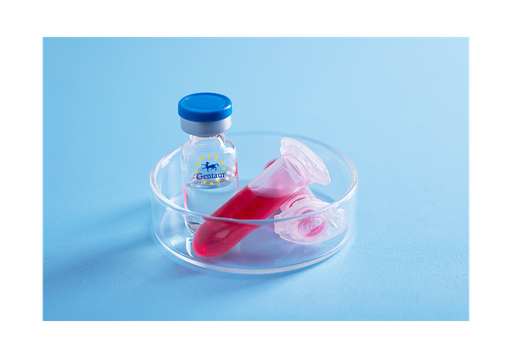 [GEN - PYT563-1mg] Visfatin Human, His