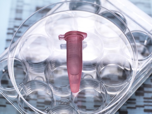 [GEN - BXP2100-MCS] pHTS-hygro-MCS